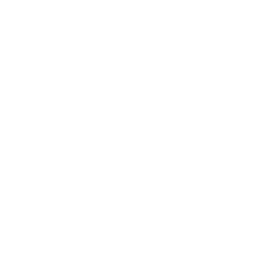 woodville south cats logo-white